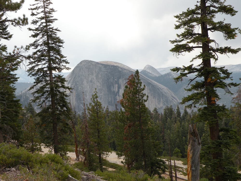 Peering through the trees at Half Dome