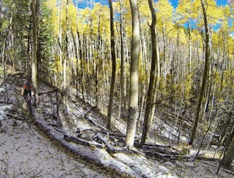 Colorado Trail: Mount Massive Wilderness to Twin Lakes