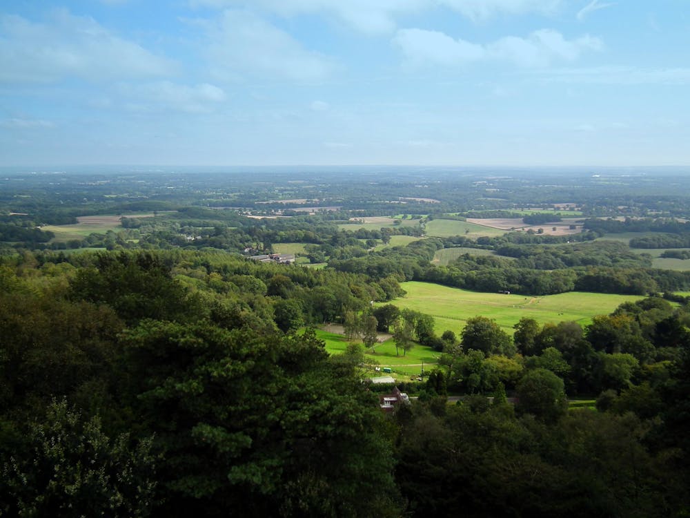 Leith Hill View, View from Leith Hill, North Downs, Surrey