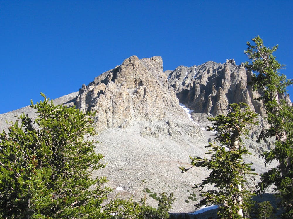 Bristlecone Pine Trail on Wheeler Peak