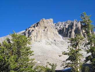 Bristlecone and Glacier Trail