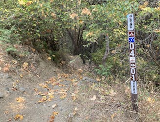 Forest Park: Deadman Trail Loop