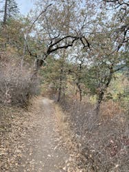 Zigler Trail