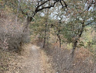 Zigler Trail