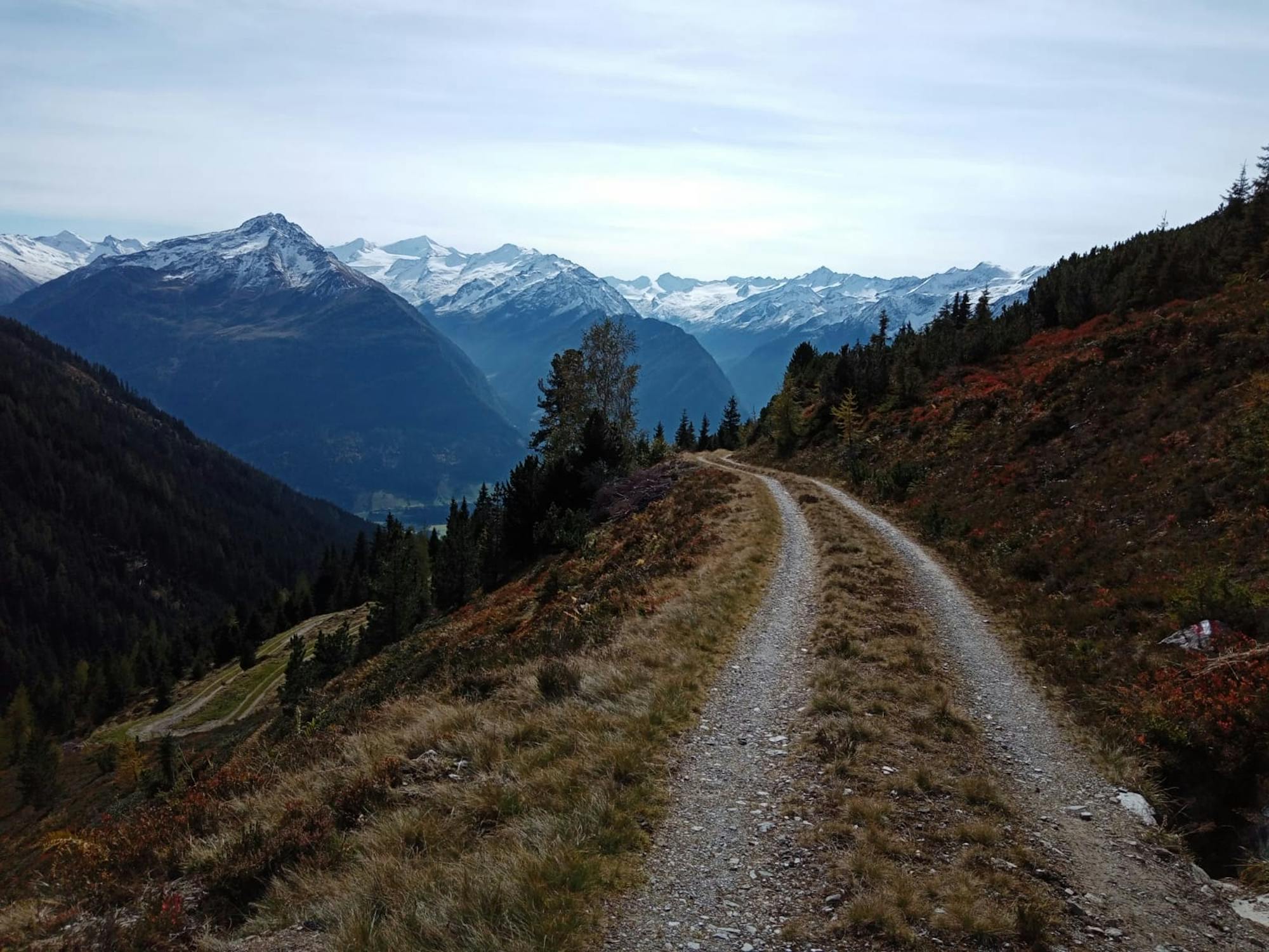 On the descent to the Steiner Alm.