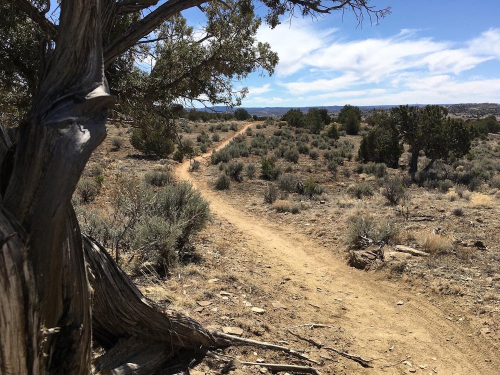 Photo from High Desert Trail System