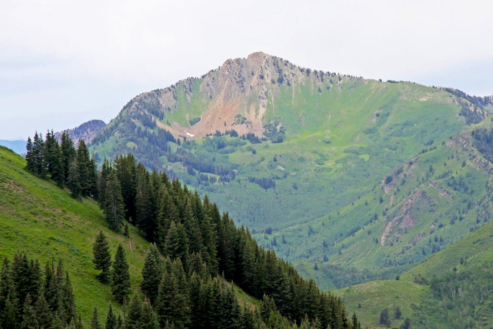 Views along the Wasatch Crest Trail