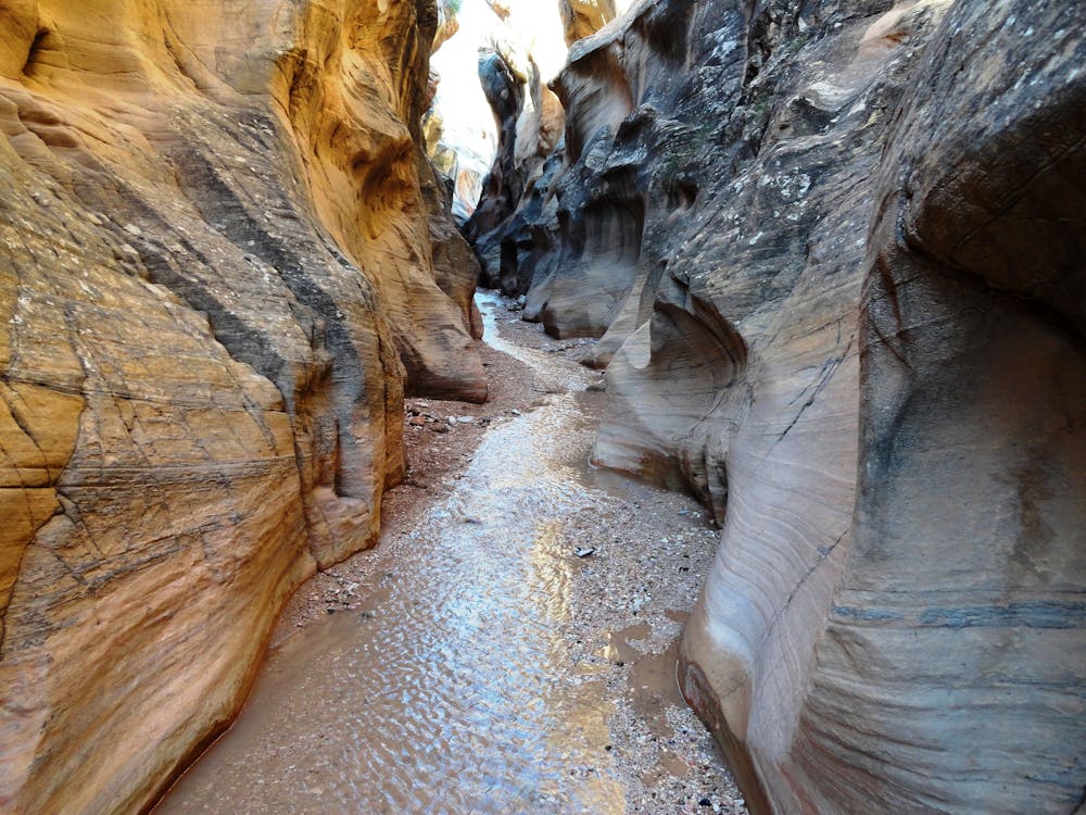 In the narrows of Willis Creek