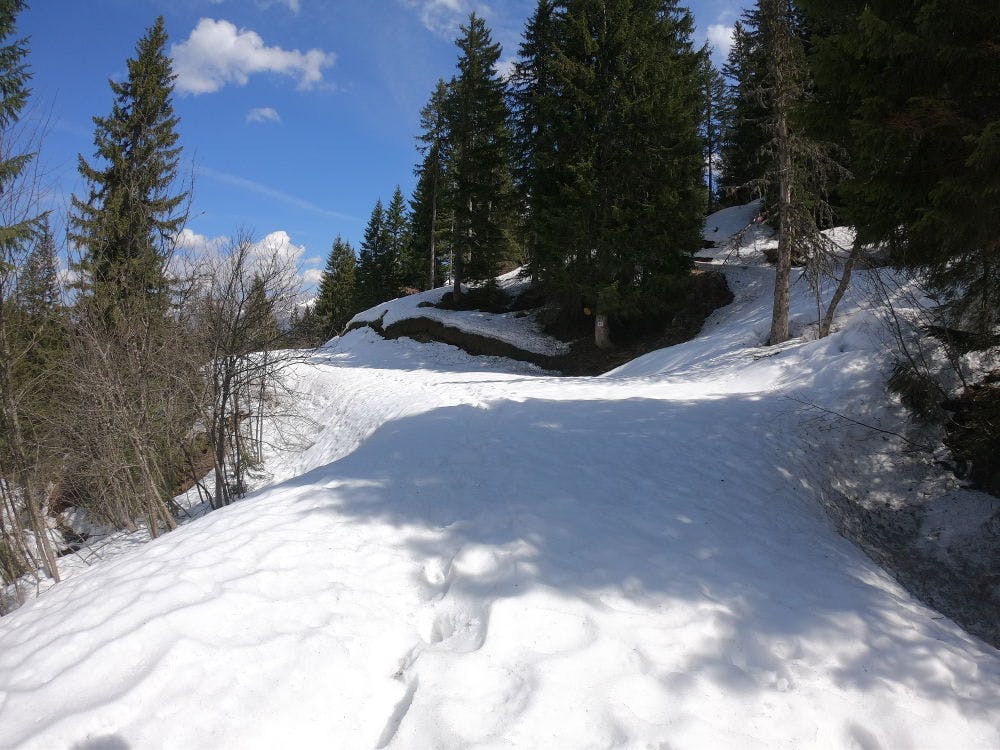 Photo from La Luge à Téran to Chalet Ski Massif
