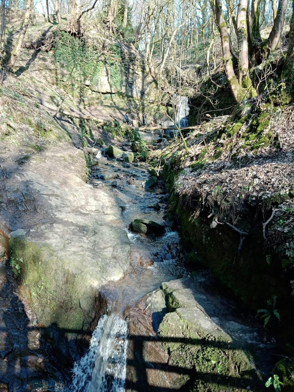 Looking up the brook from the lower part of the Glen