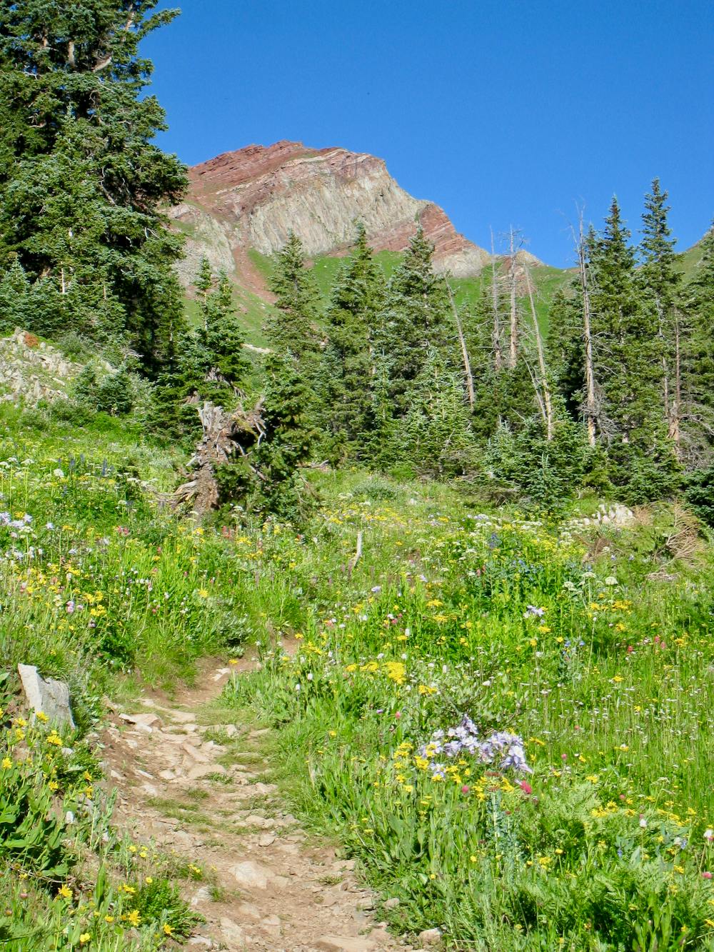 Photo from Colorado Trail Segment 26: Blackhawk Pass