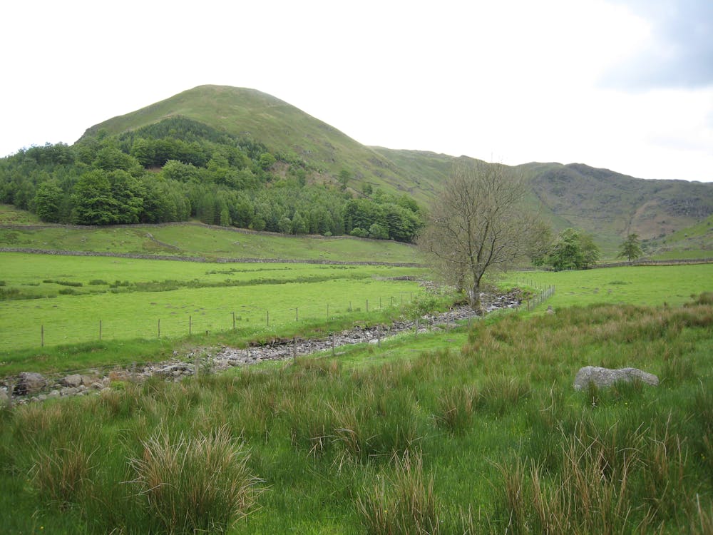 Steel Fell, as viewed from Wythburn