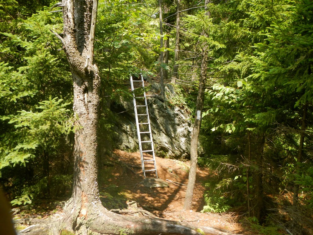 Ladder on the AT in Vermont. Steep ledge .2 miles North of Stony Brook Shelter.