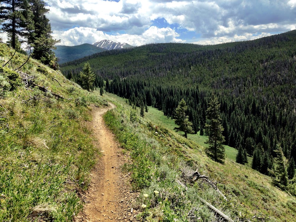 Climbing toward the Colorado Trail