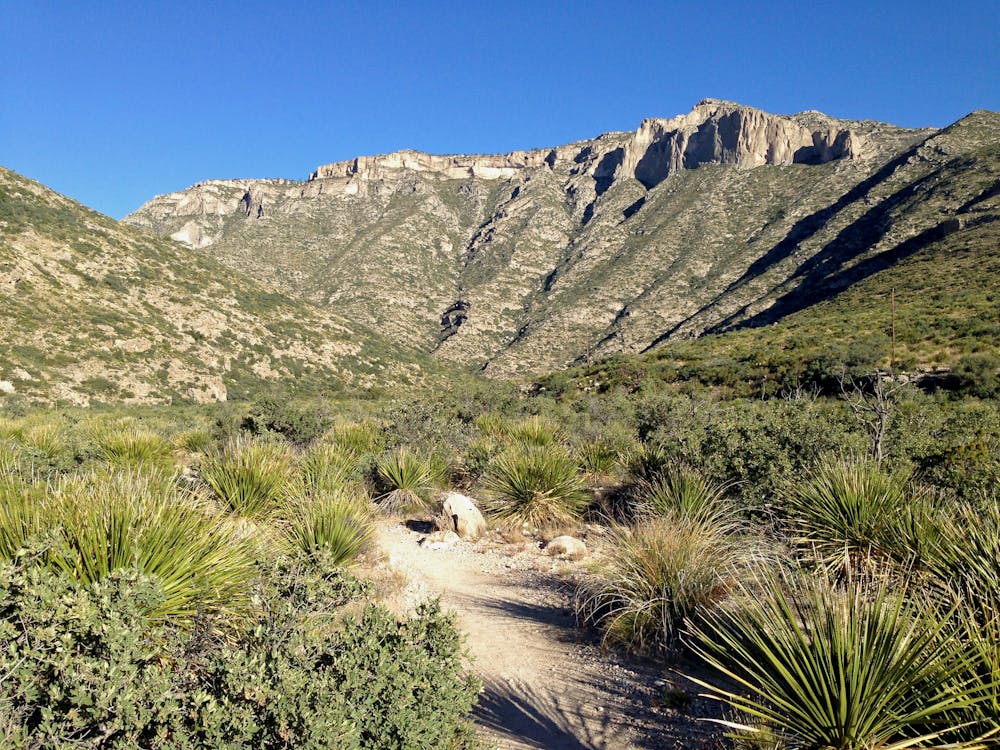 Entrance to McKittrick Canyon in Guadalupe Mountains National Park, Texas