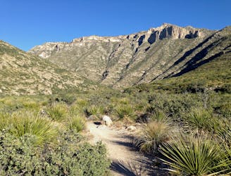 McKittrick Canyon Nature Trail