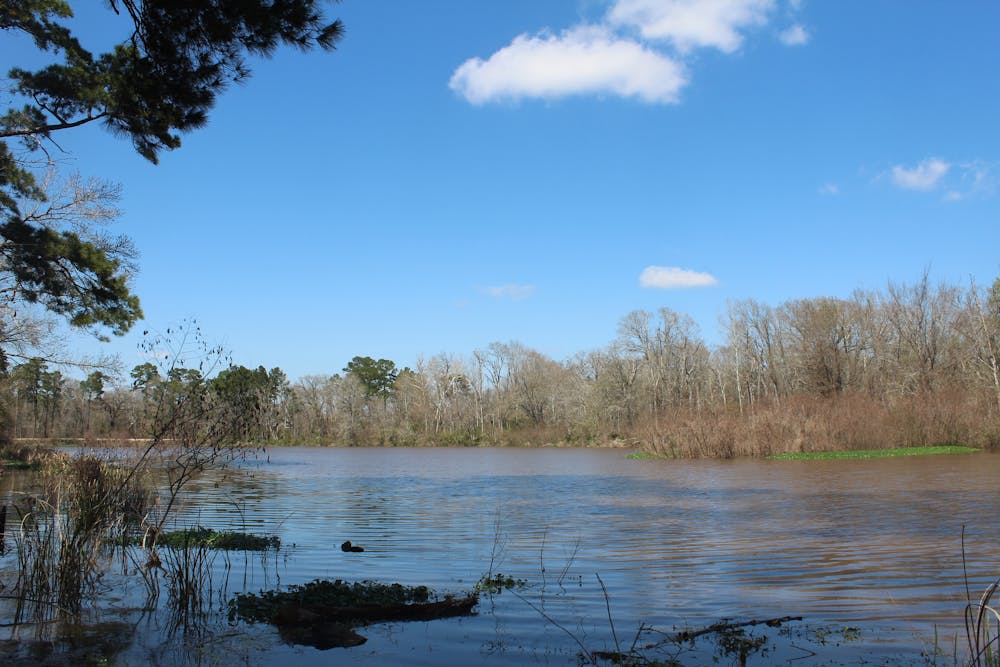Stubblefield Lake Recreation Area - Sam Houston National Forest