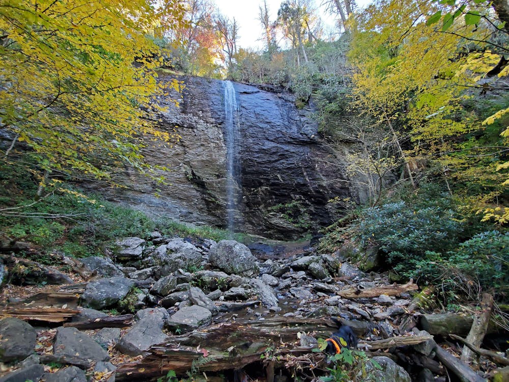 Photo from Big Ivy Road to Douglas Falls