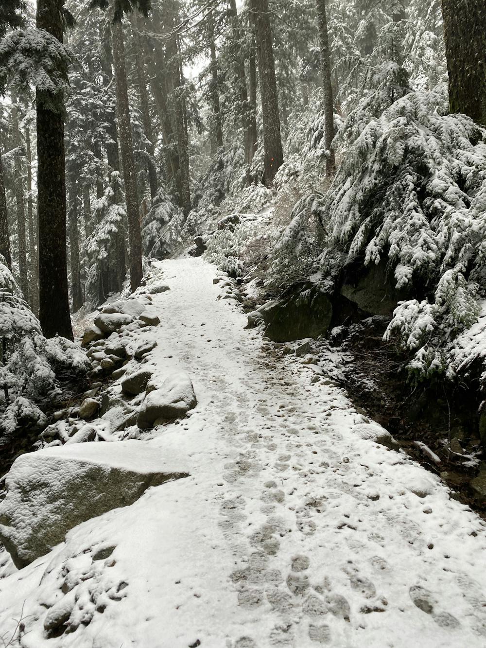Trail in early season conditions