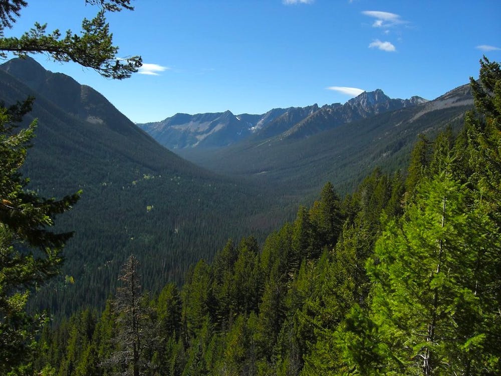 View near the PCT in Manning Park Provincial Park
