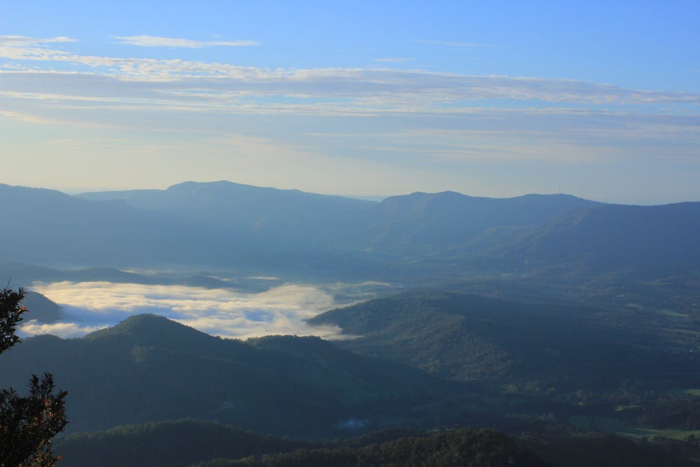 The view from the top of Mount Warning
