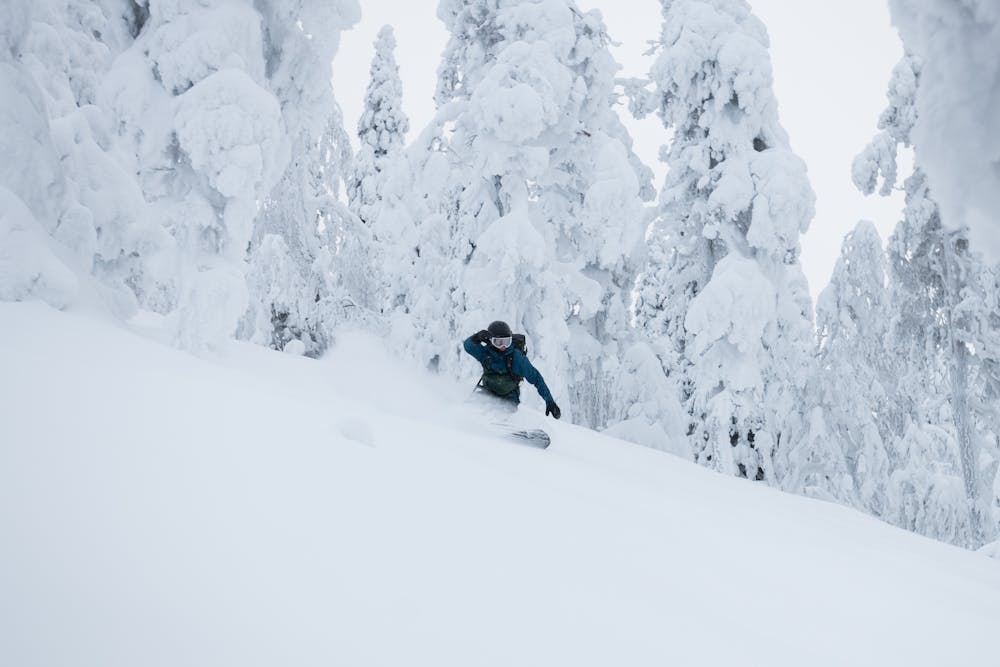 Some great skiing deep in the trees