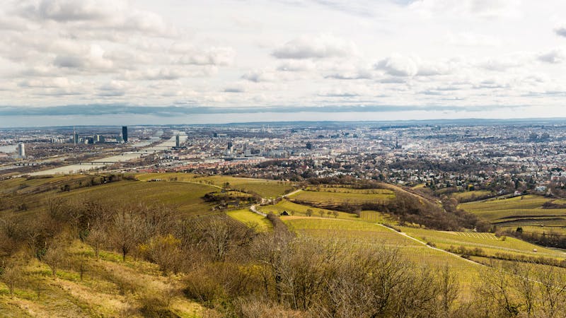 Nature in the City: Vienna's Hiking Trails
