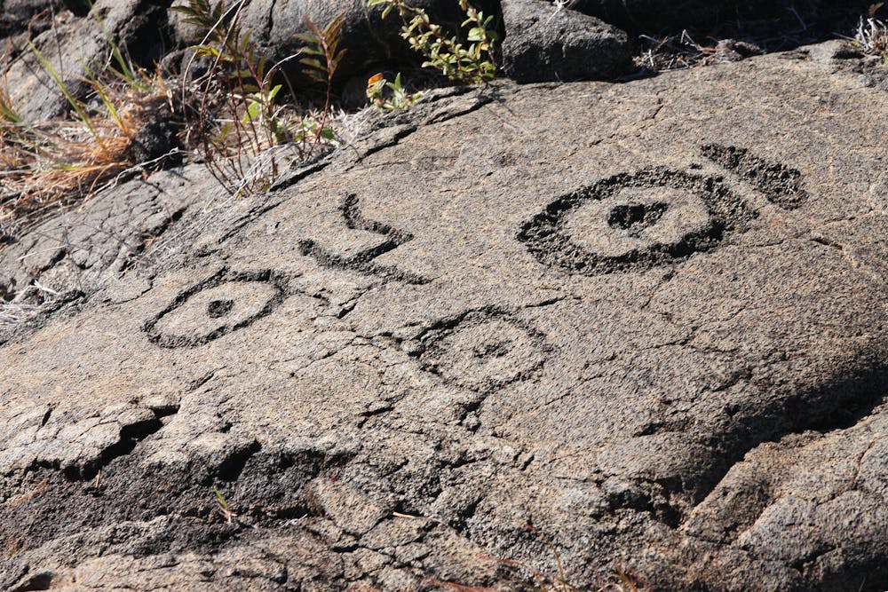 Pu'u Loa Petroglyphs