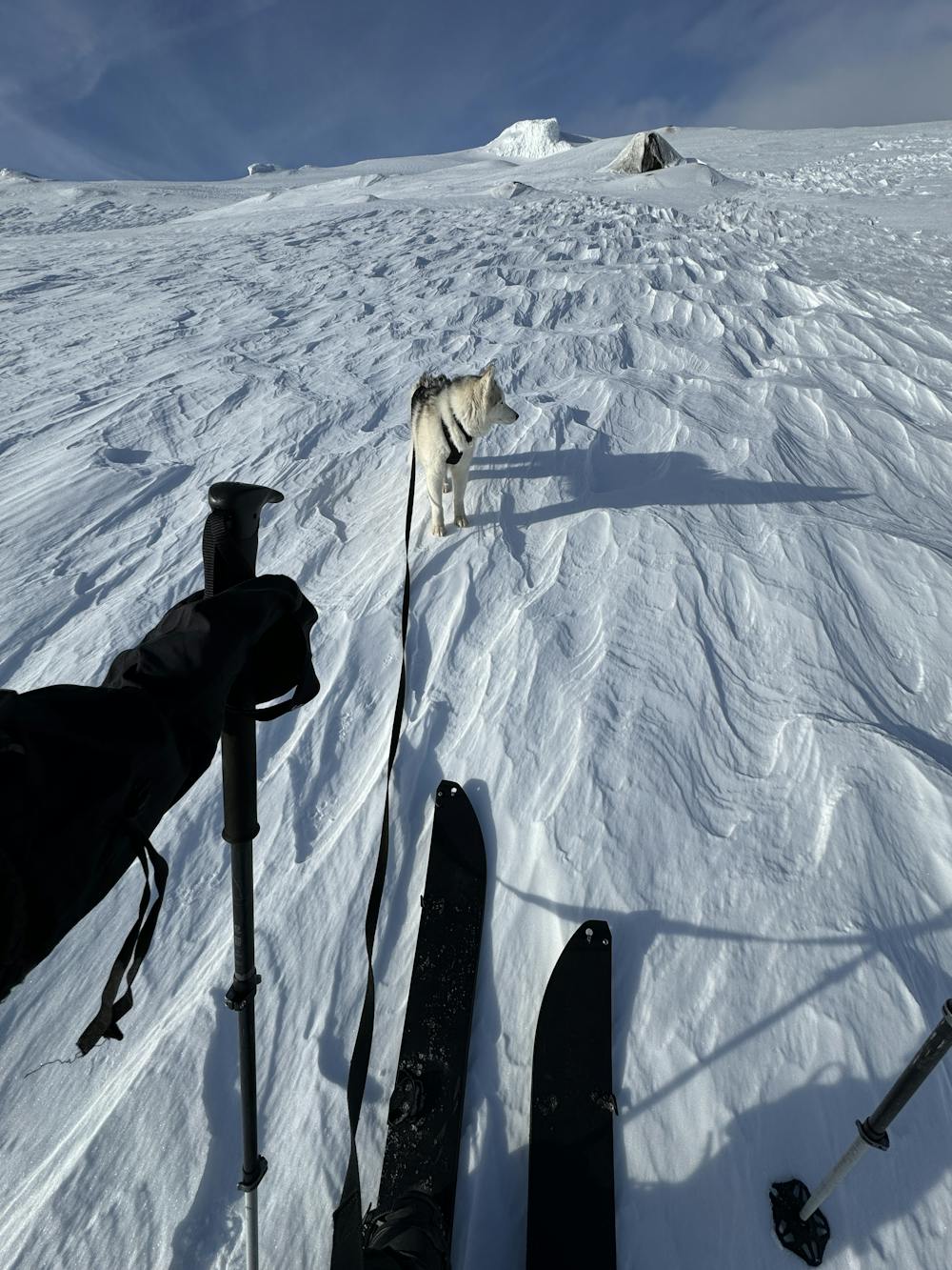 Photo from Eyjafjallajökull - South route