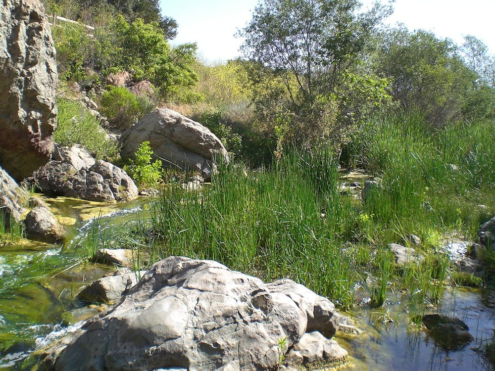 Los Peñasquitos Creek