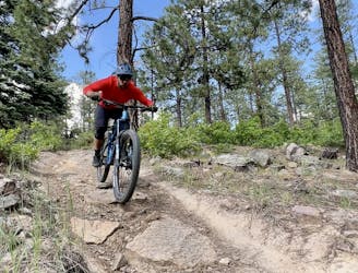Log Chutes Downhill: Loop Ride