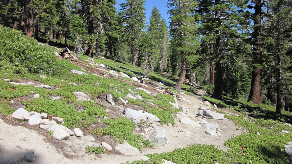 Photo from Tahoe Rim Trail: Kingsbury South Connector to Big Meadow