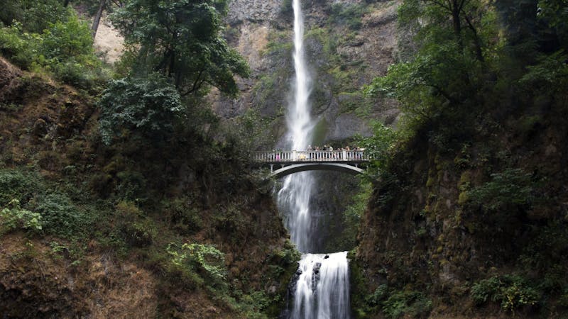 5 Easy Trails to Start Hiking in Portland