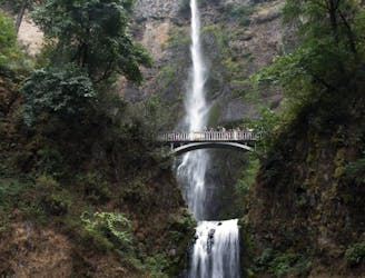 5 Easy Trails to Start Hiking in Portland