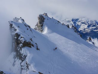Gran Paradiso beklimming Jelle Staleman Ski- en Berggids