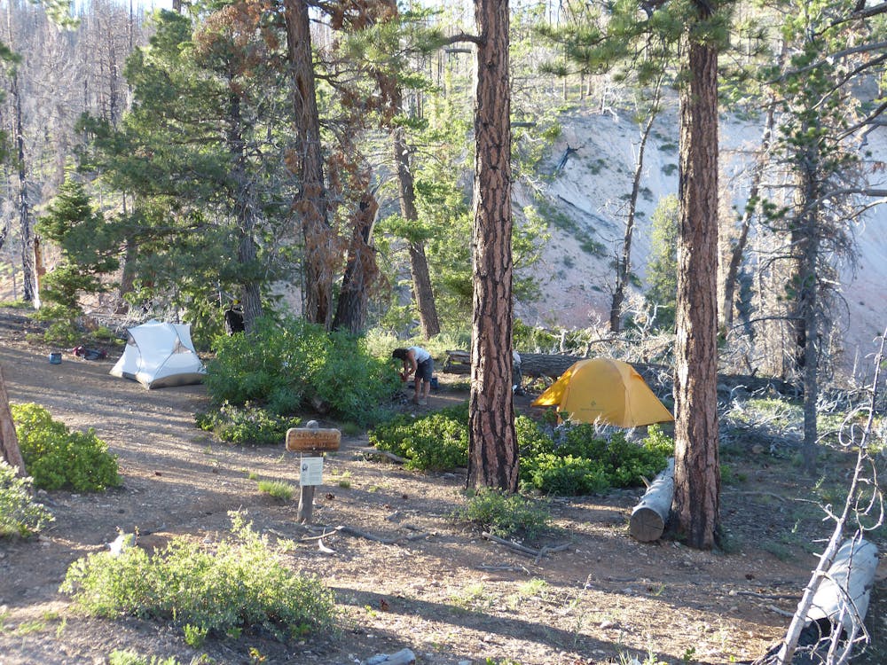 Campsite along Under-the-Rim Trail