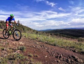 Colorado Trail: Kenosha Pass to Lost Creek Wilderness Out-and-Back