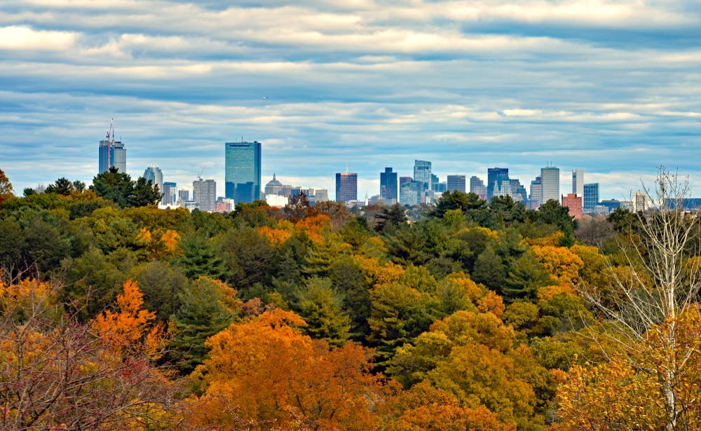Boston Skyline from Peters Hill in the Arnold Arboretum