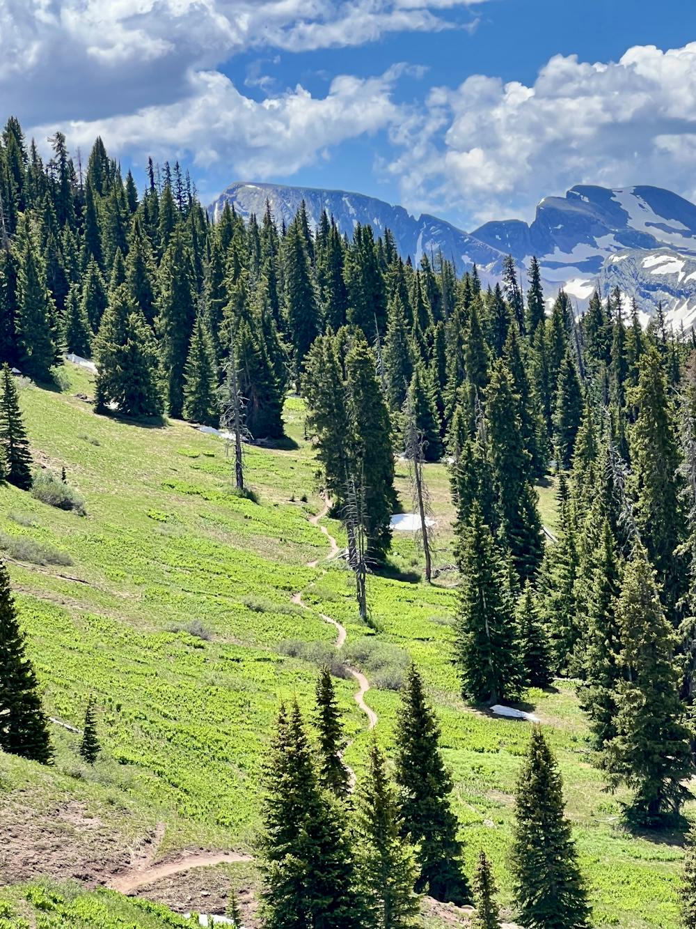 Photo from Colorado Trail: Silverton to Durango