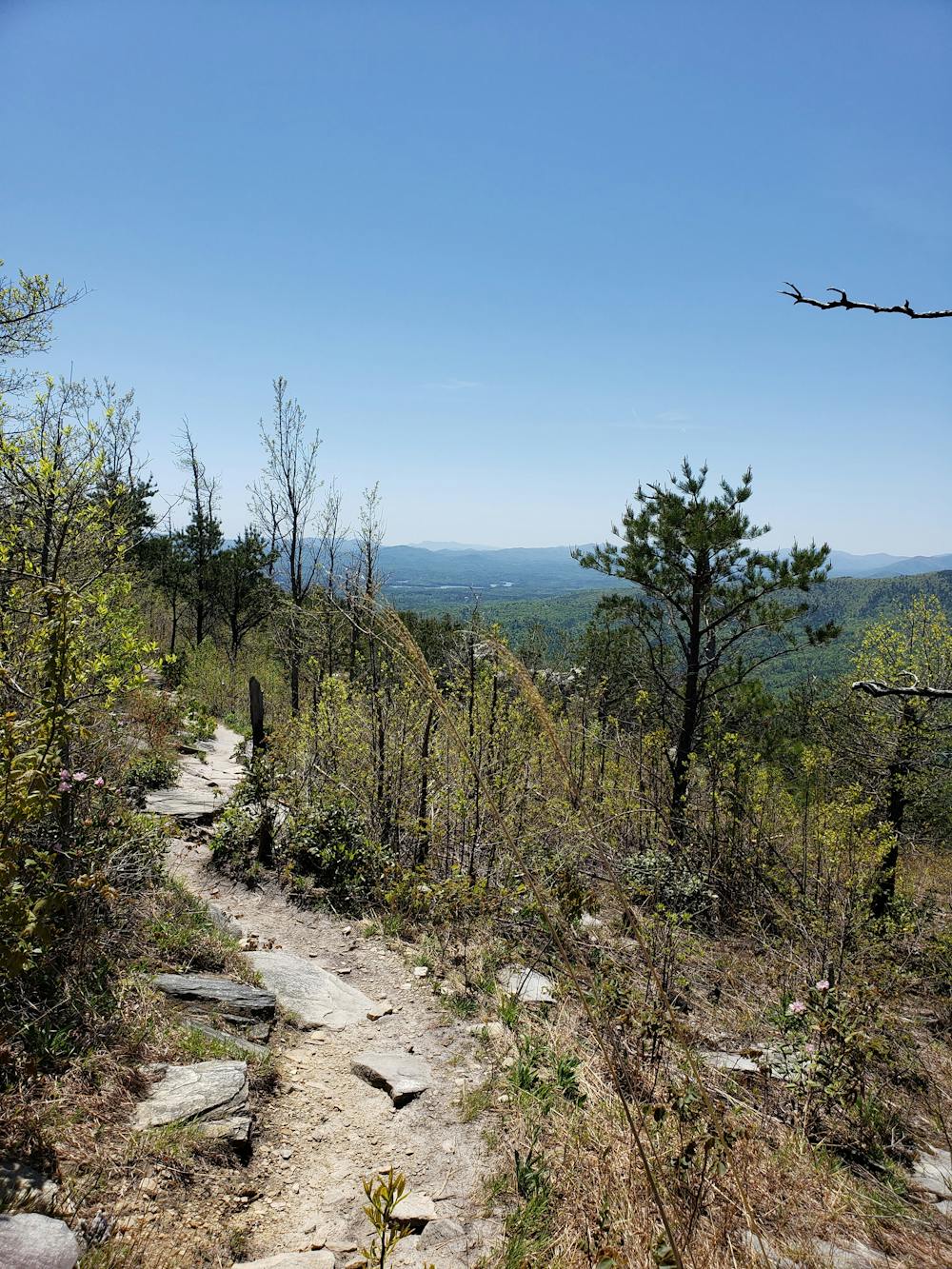 Photo from Mountains to Sea Trail: Mitchell to NC-181