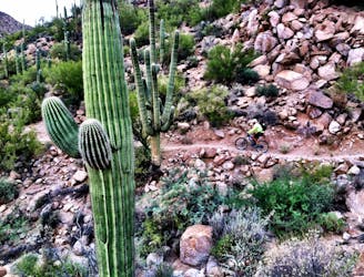Arizona Trail: Oracle to Picketpost, Day 3