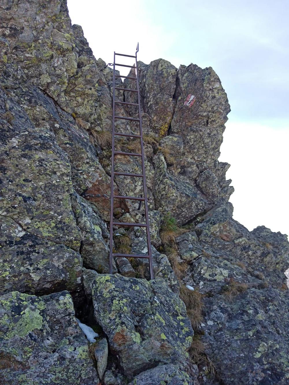 The ladder just below the Steinkogel's summit