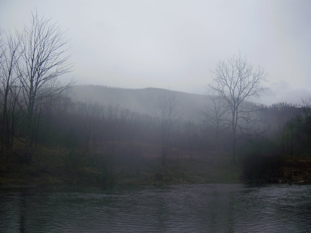 Photo from Appalachian Trail: Wilder Mine Hollow to Watauga Lake