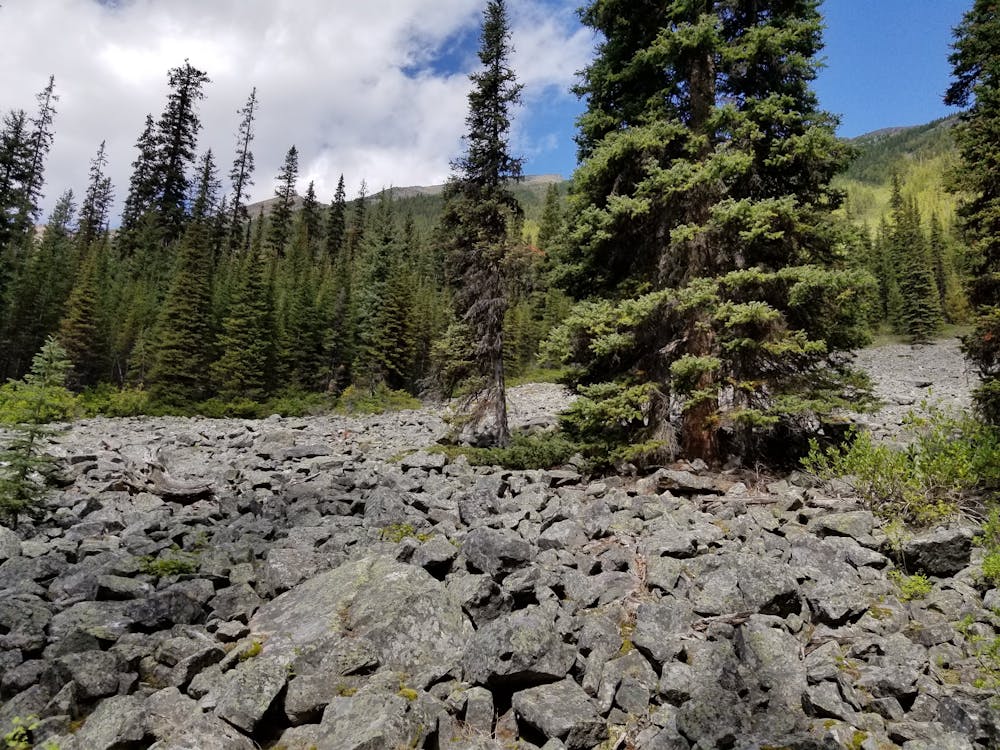 Photo from Boom Lake Trail