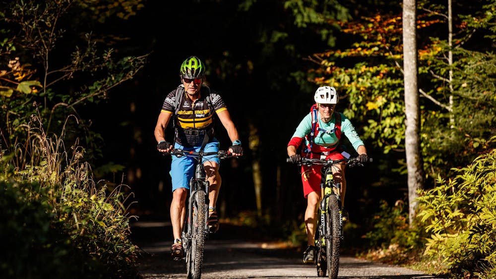 With the mountain bike through the forests of the Salzkammergut