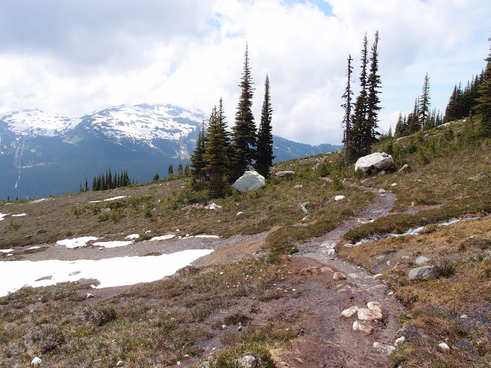 Winding along the trail with Whistler Mountain as a backdrop