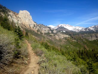 Out of the Bike Park: 5 Excellent Trail Rides in Mammoth