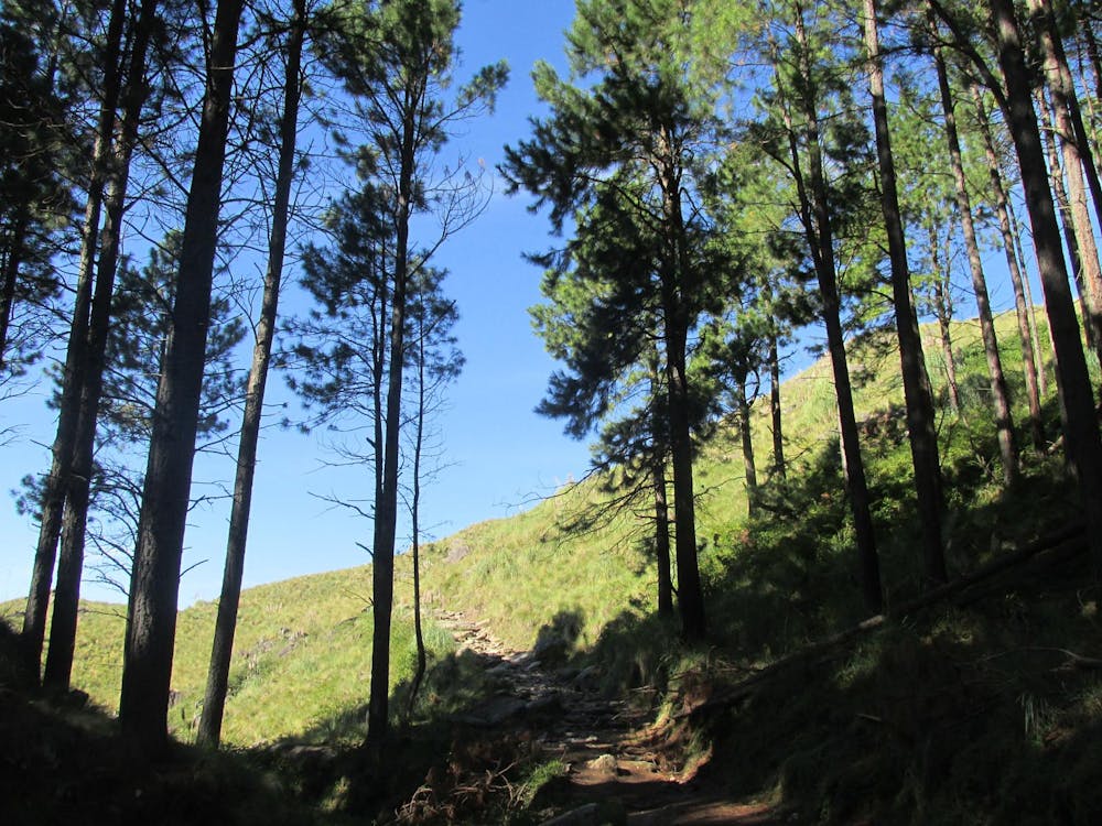 Photo from Travesía: Los Hornillos - Cerro Negro - Villa Alpina - La Cumbrecita (Córdoba)