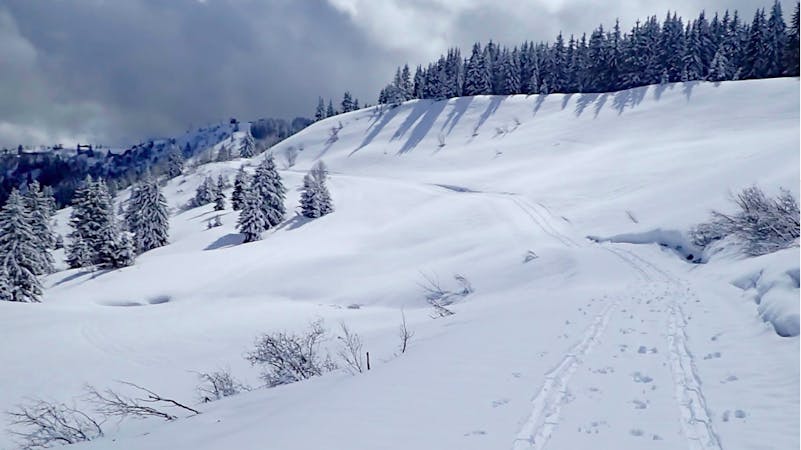 Chilled Powder : Mellow Ski Tours above Megève