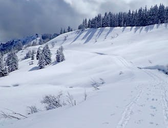 Chilled Powder : Mellow Ski Tours above Megève